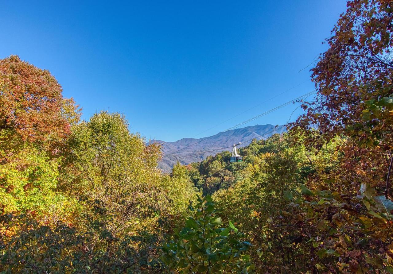 Daya, Hot Tub, Pool Table, 1089 Of Free Attraction Tickets For Each Paid Day, Dollywood And More! Gatlinburg Dış mekan fotoğraf
